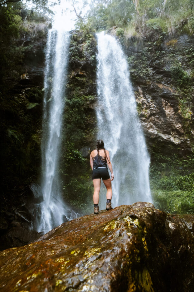 Twin Falls Waterfall Circuit Hike in Springbrook National Park