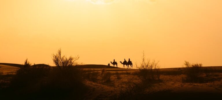 CAMEL SAFARI JAISALMER