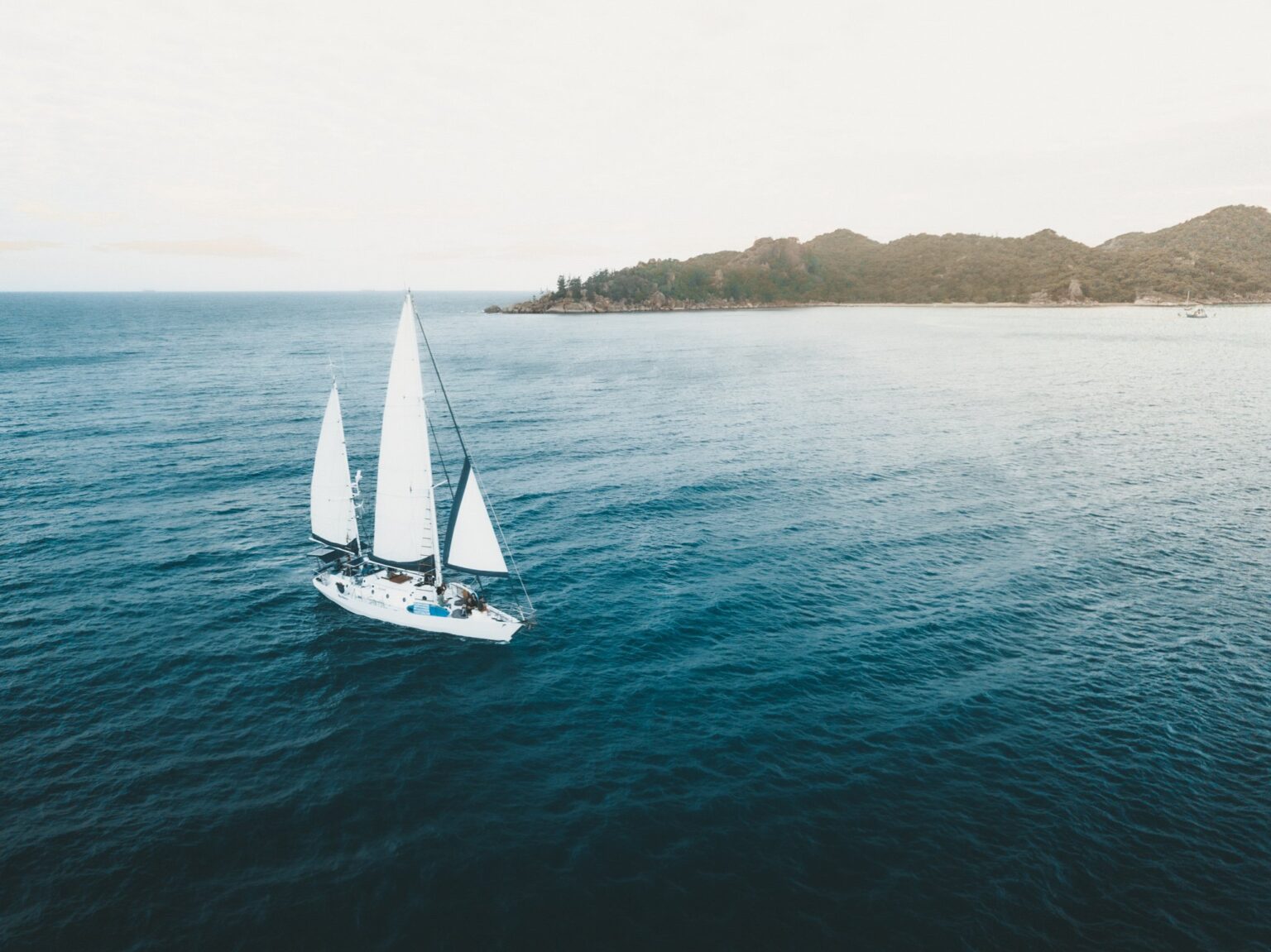 Geoffrey Bay Rock Wallabies & Snorkeling, Island