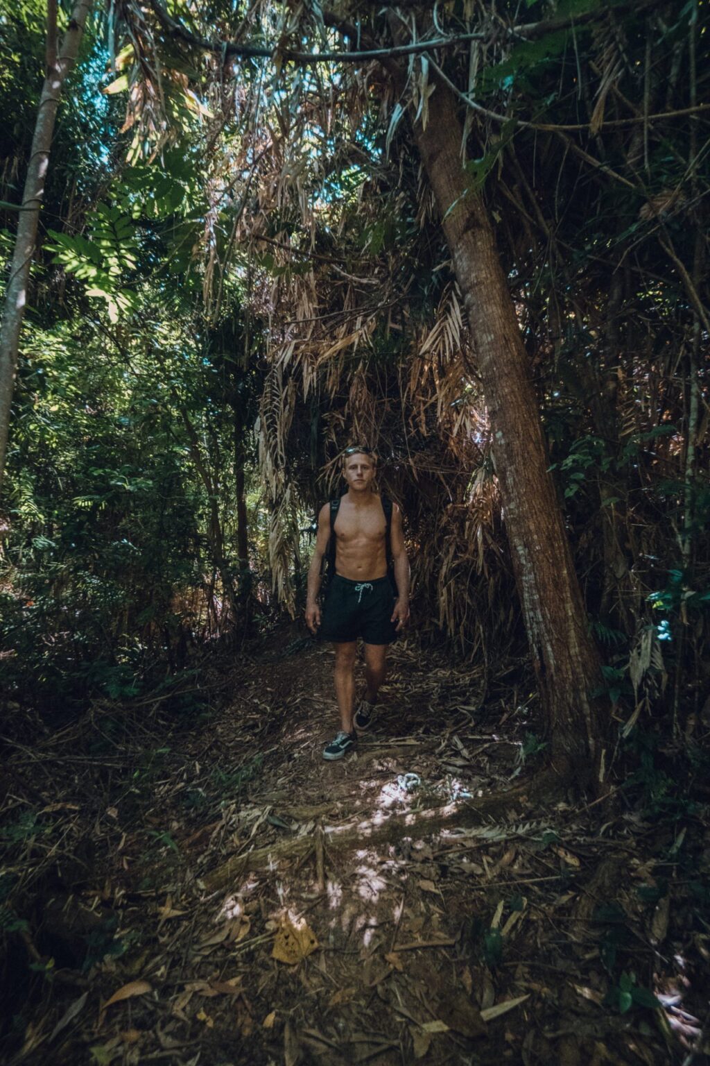 Exploring Dunk Island Best Things To See & Do