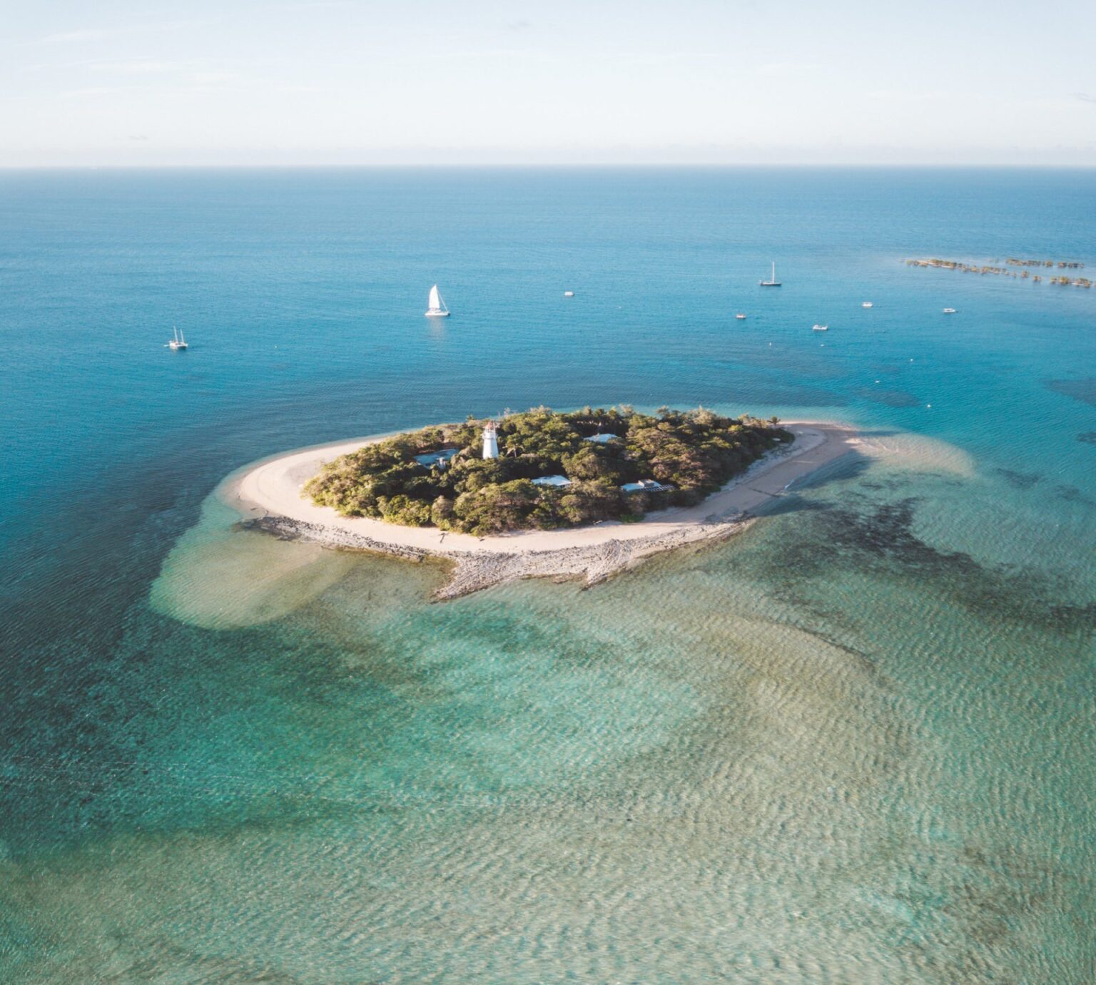 Complete Guide to The Low Isles, Port Douglas, Australia We Seek Travel