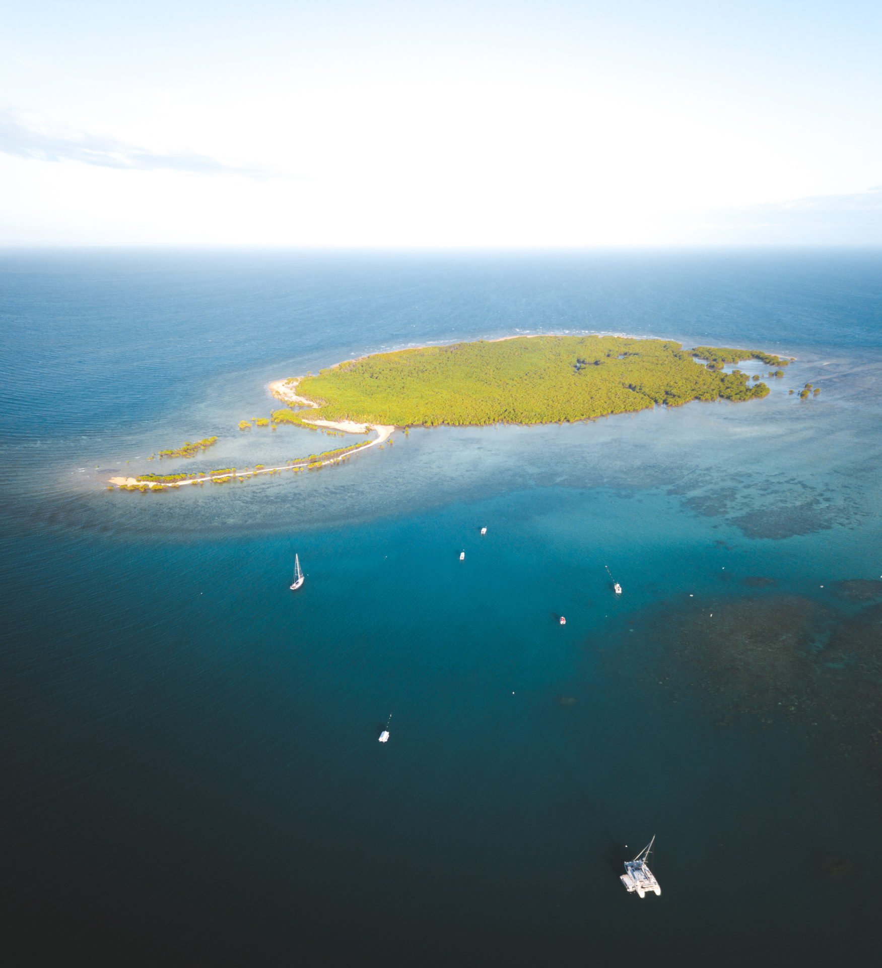 Complete Guide to The Low Isles, Port Douglas, Australia We Seek