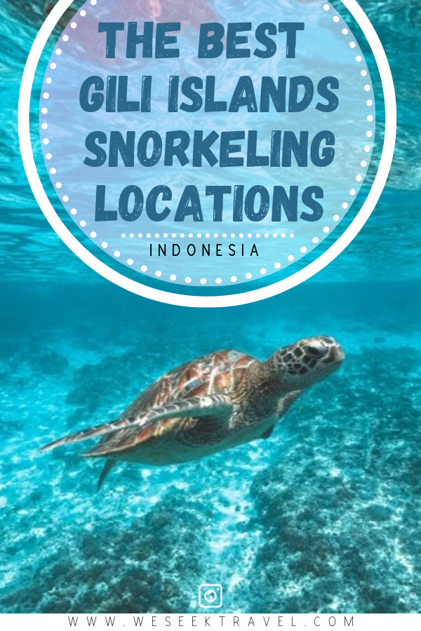 Best Gili Islands Snorkeling Locations We Seek Travel Blog