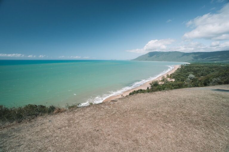 Cairns to Cape Tribulation Drive A Guide to The Most Scenic Drive in