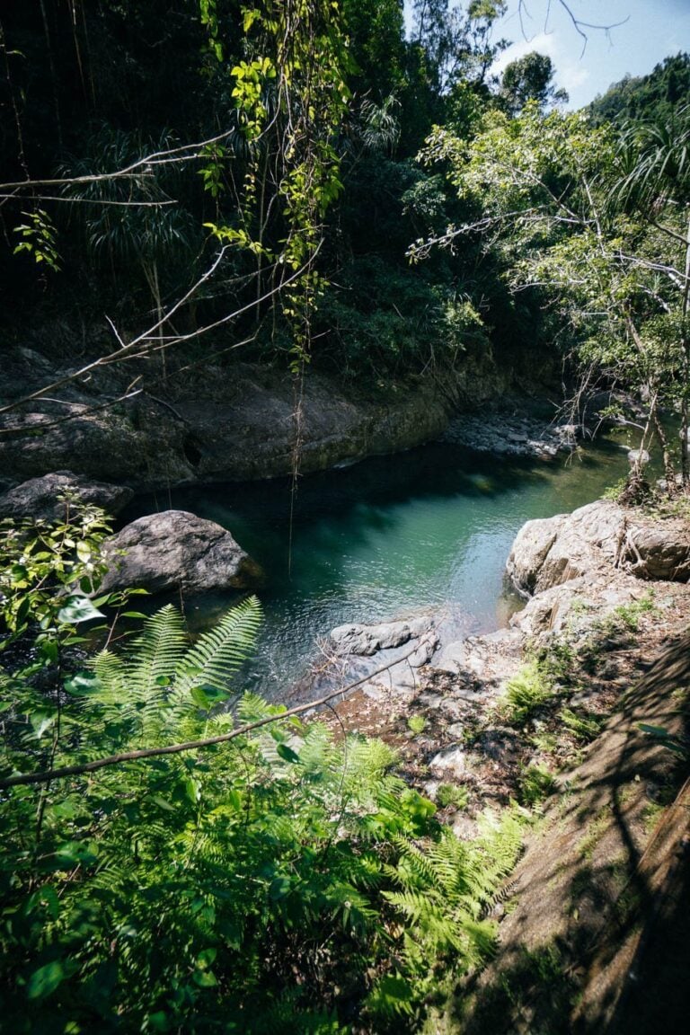 Crystal Cascades Cairns Waterfall Guide