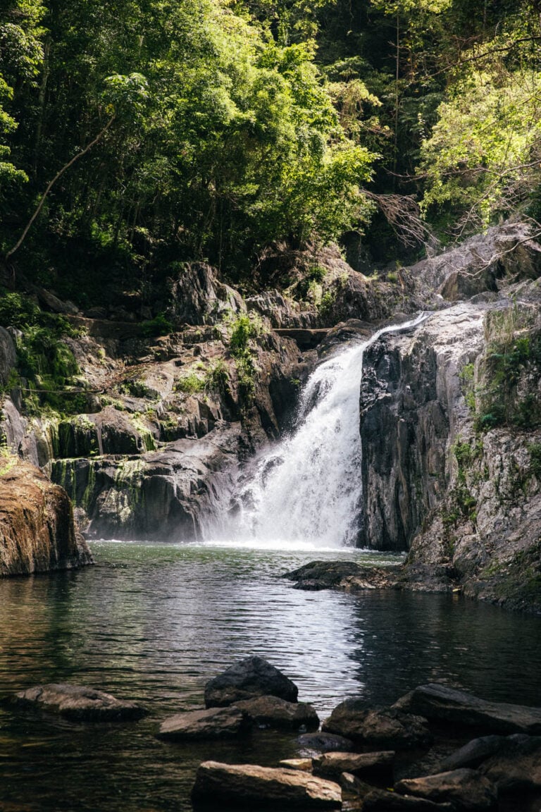 Crystal Cascades Cairns Swimming Hole and Waterfall Guide We Seek