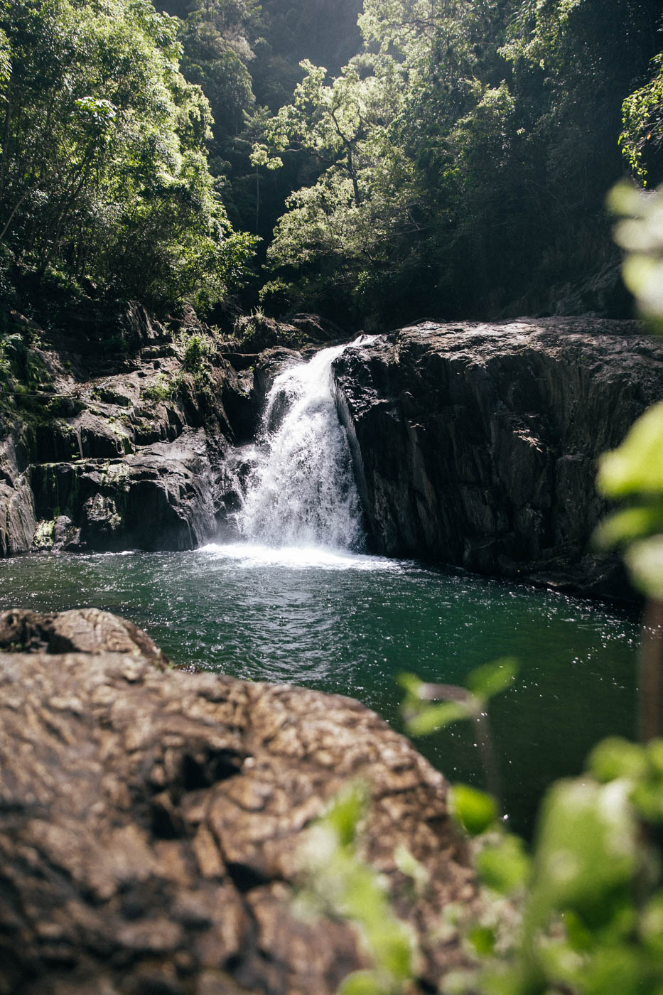 Crystal Cascades Cairns Swimming Hole and Waterfall Guide We Seek