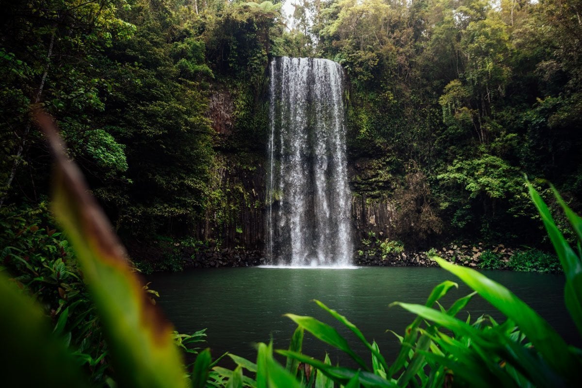 13 Best Waterfalls In Cairns and Surrounds COMPLETE GUIDE We Seek