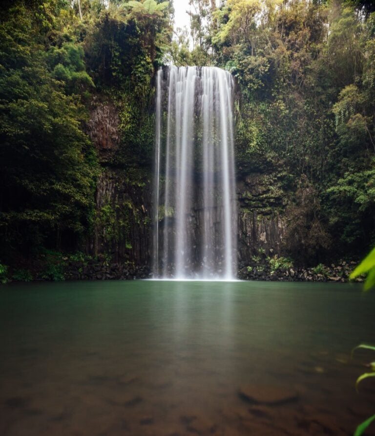 Millaa Millaa Falls Incredible Waterfall in the Atherton Tablelands Near Cairns We Seek