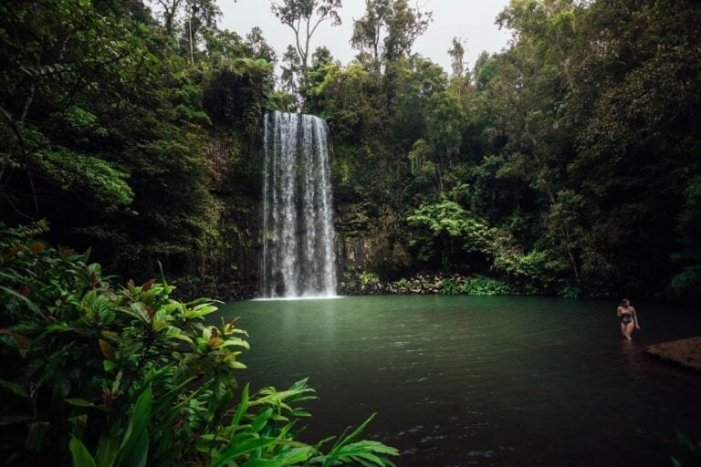 SWIMMING AT MILLAA MILLAA FALLS, CAIRNS