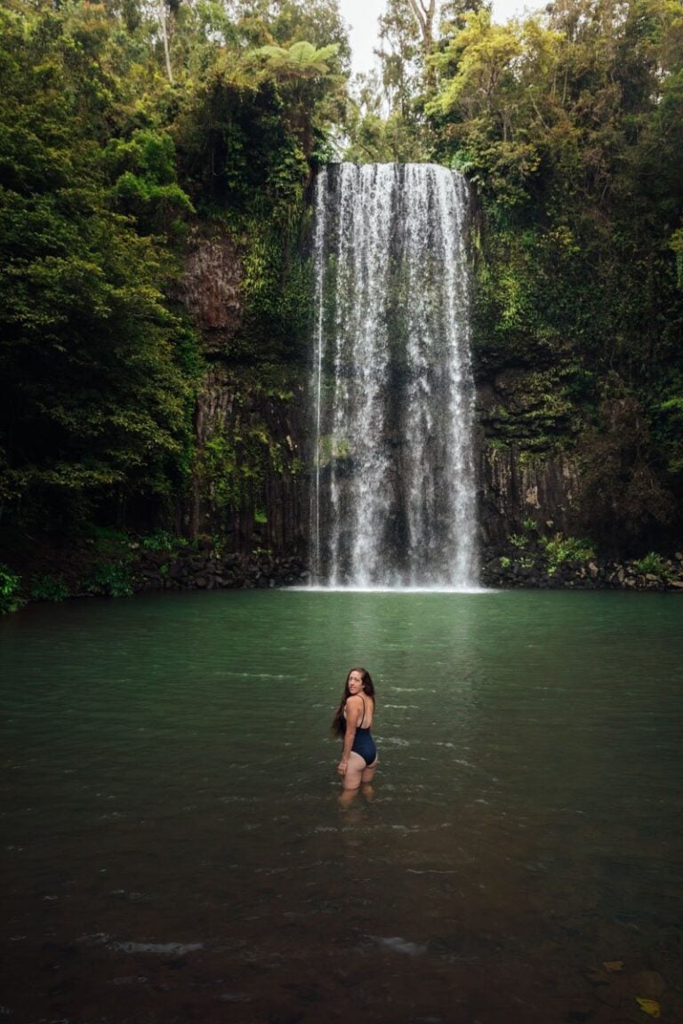 Millaa Millaa Waterfall Circuit 2024 Guide