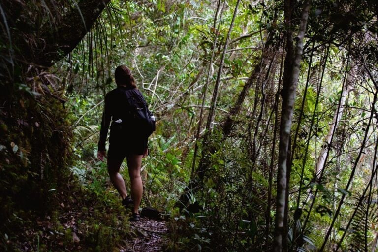 LIWAGU TRAIL HIKE IN KINABALU NATIONAL PARK