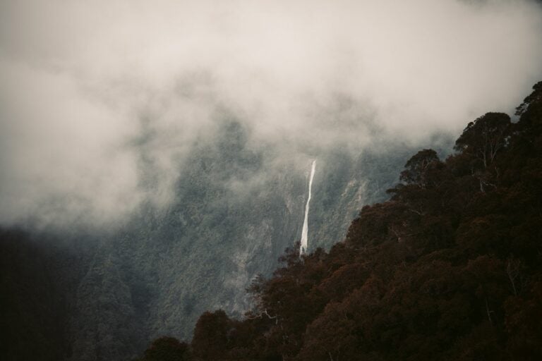 WHAT TO DO IN KINABALU PARK, SABAH BORNEO