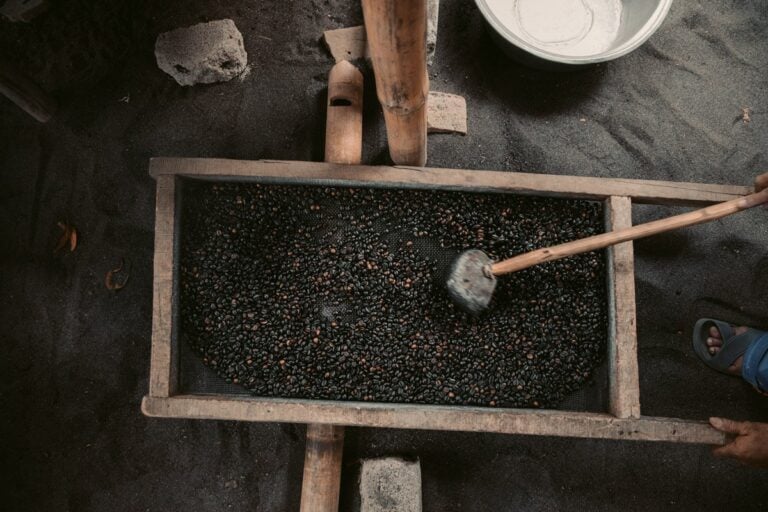 TRADITIONAL COFFEE IN LOMBOK INDONESIA