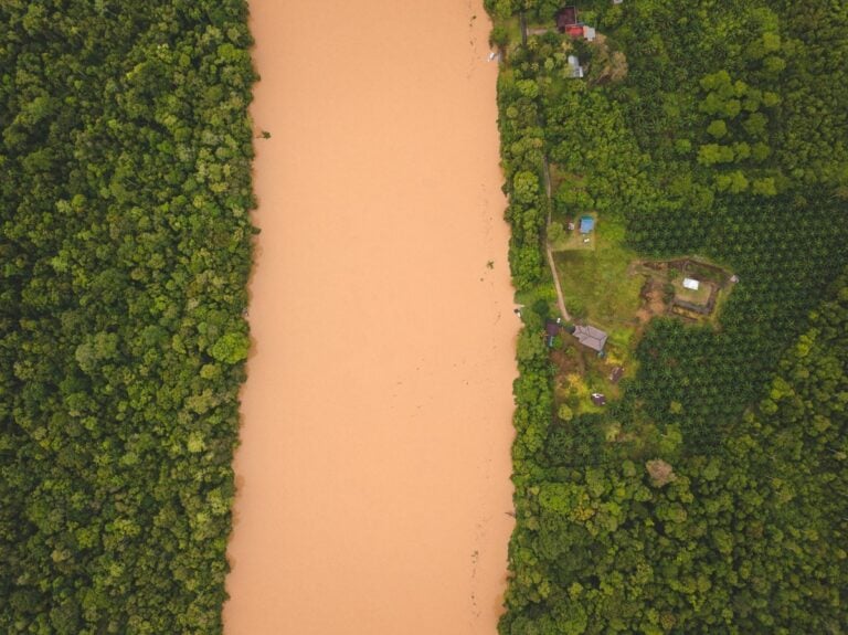 KINABATANGAN RIVER DRONE