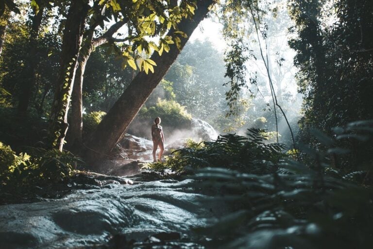CHIANG MAI WATERFALL, BUA TONG WATERFALL