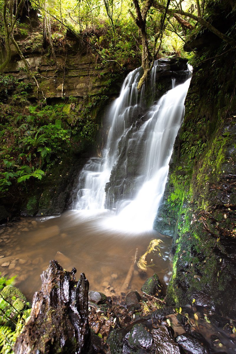 How to Visit Matai Falls and Horseshoe Falls The Catlins