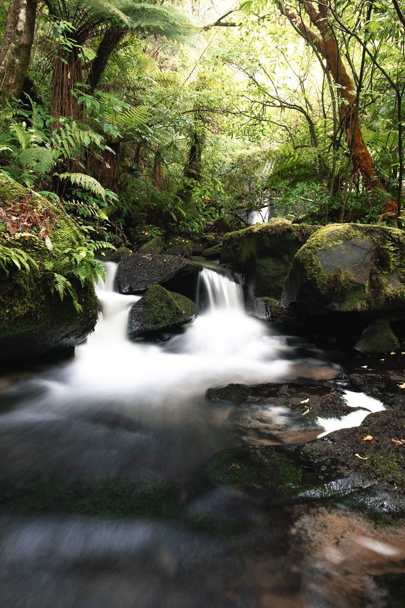 How to Visit Matai Falls and Horseshoe Falls The Catlins