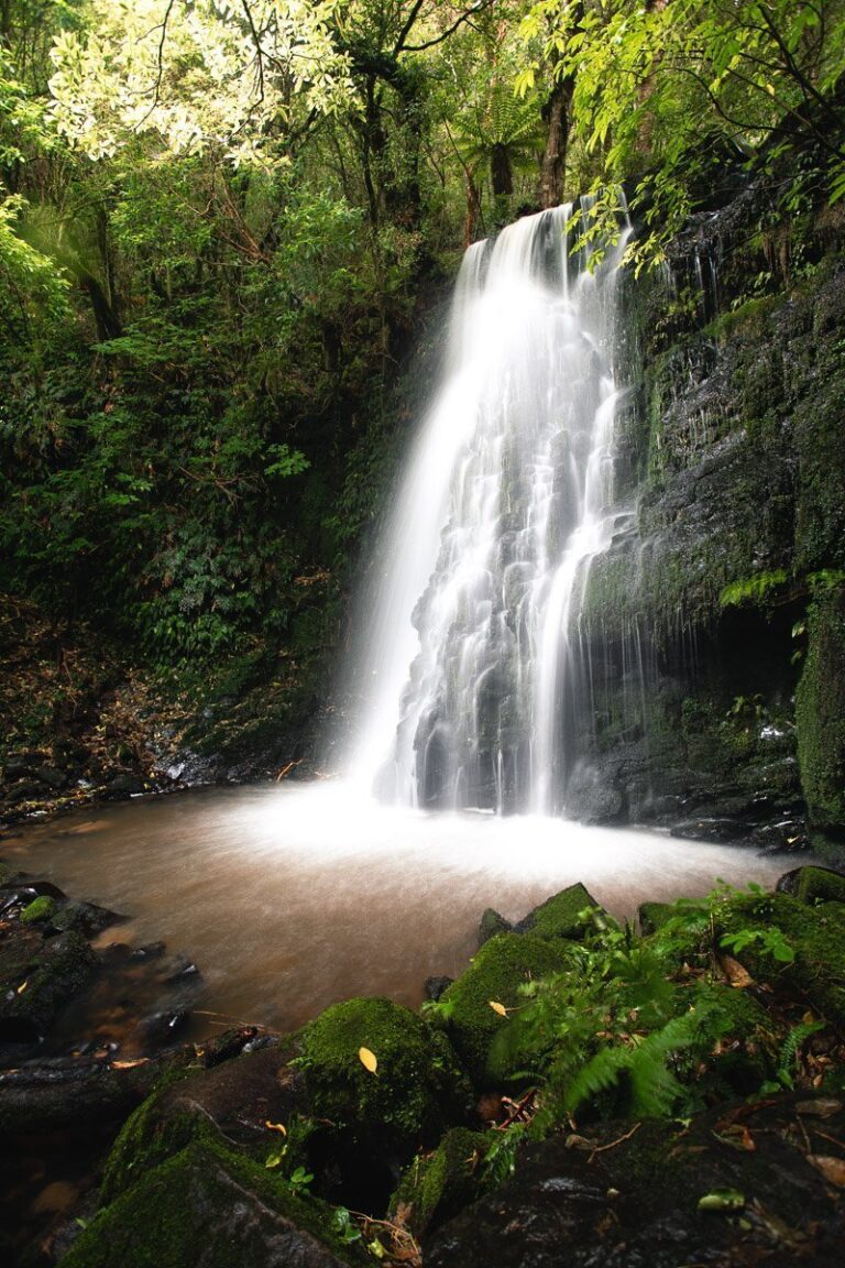 4 Epic Catlins Waterfalls in New Zealand's South Island
