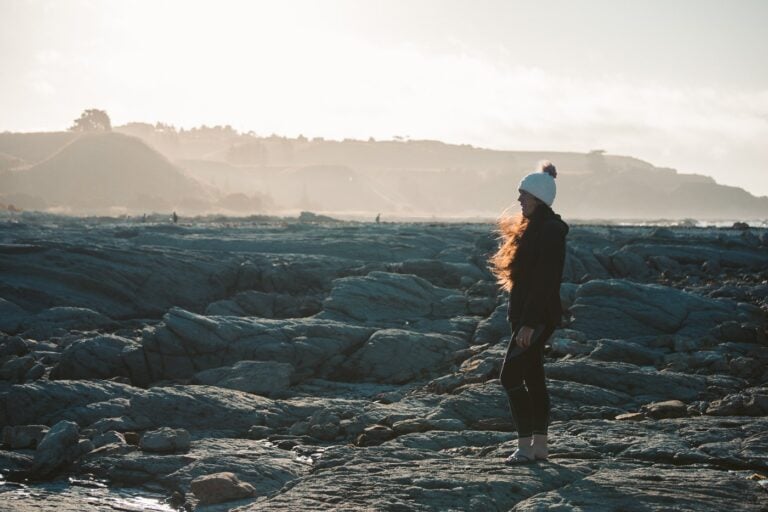 SEAL SPOTTING IN KAIKOURA