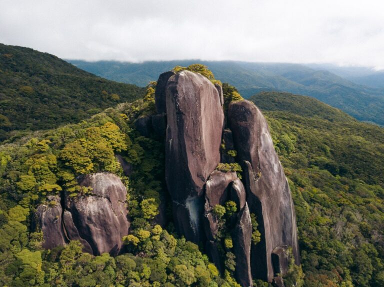 DEVILS THUMB HIKE MANJAL JIMALJI TRAIL MOSSMAN, CAIRNS HIKING TRAILS