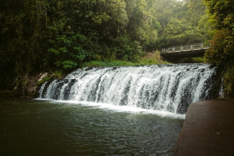 Malanda Falls Waterfall