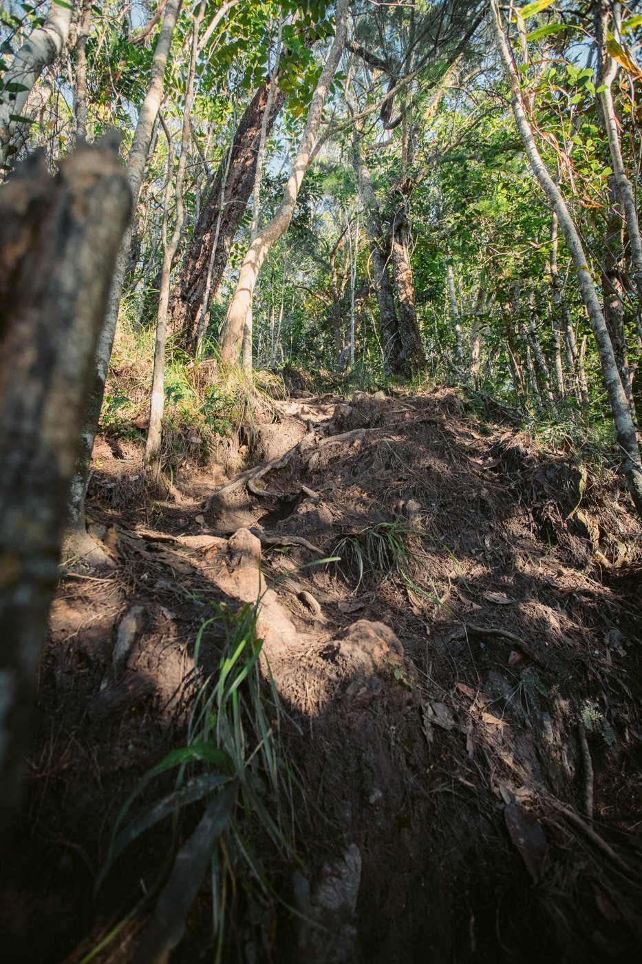 White Rock Hike Cairns Hiking & Walking Guide We Seek Travel Blog