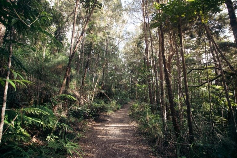WINDIN FALLS TRACK