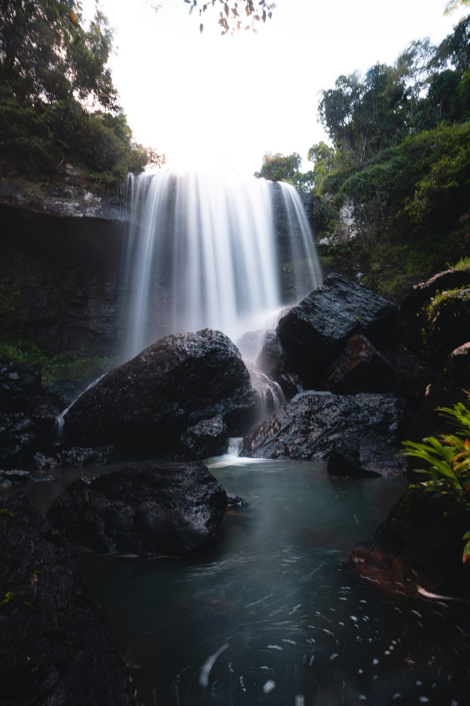 Millaa Millaa Waterfall Circuit Complete Guide with Photos We Seek