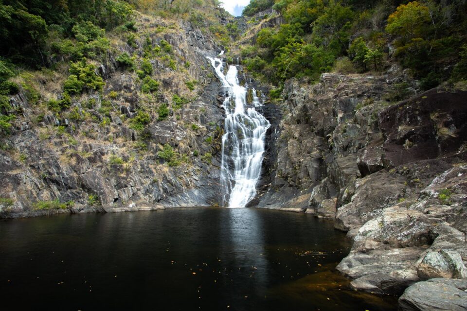 Spring Creek Falls Hike in Port Douglas: Complete Guide