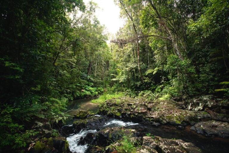 MISTY MOUNTAIN TRAILS RIVER CROSSING FAR NORTH QUEENSLAND