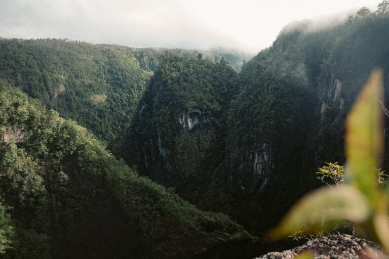 TULLY GORGE QUEENSLAND, BEST HIKES IN CAIRNS