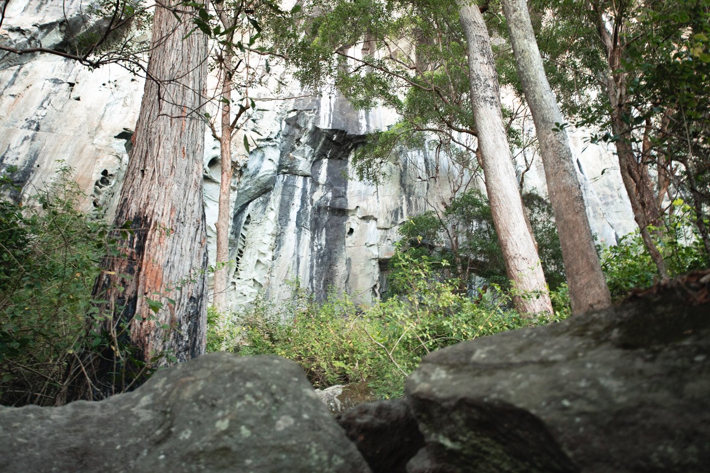 Mount Beerwah Climb Summit Hike in the Glass House Mountains We