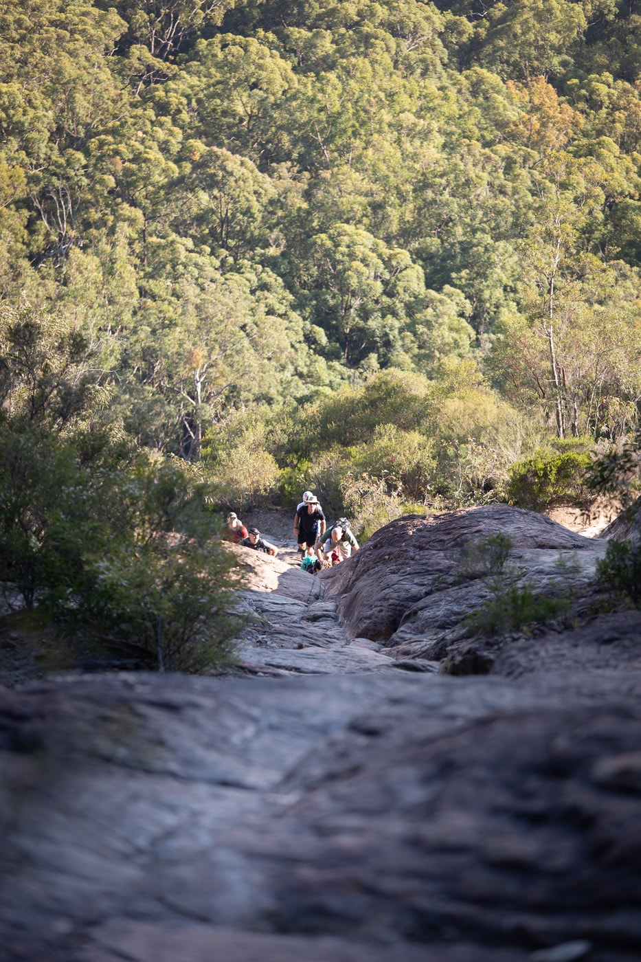 Mount Beerwah Climb Summit Hike in the Glass House Mountains We