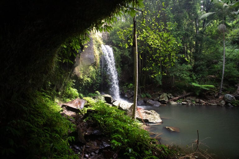 Curtis Falls & the Lower Creek Circuit Walk (Mt Tamborine)