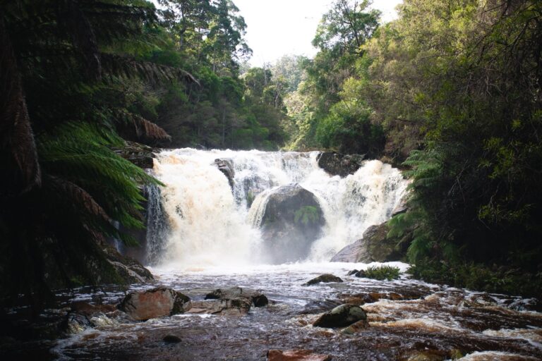 HALLS FALLS WATERFALL TASMANIA