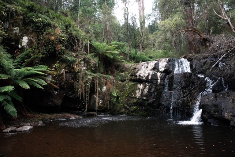 WATERFALL AT LILYDALE FALLS TASMANIA