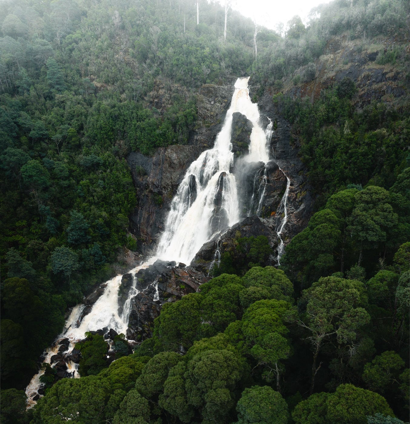 How to Visit St Columba Falls in Pyengana, Tasmania