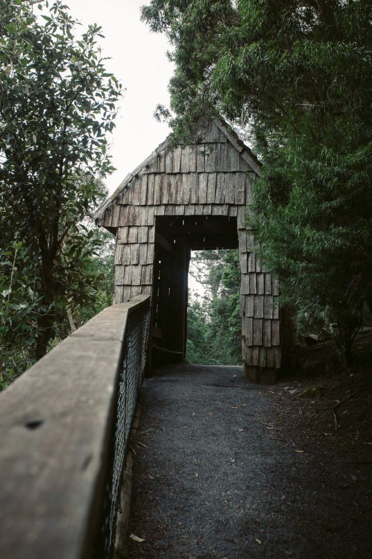How to Visit St Columba Falls in Pyengana, Tasmania