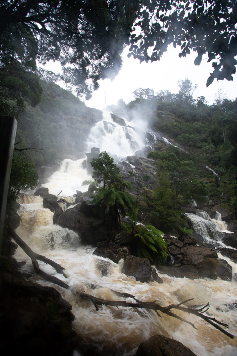 St Columba Falls Tasmania Everything You Need to Know We Seek Travel