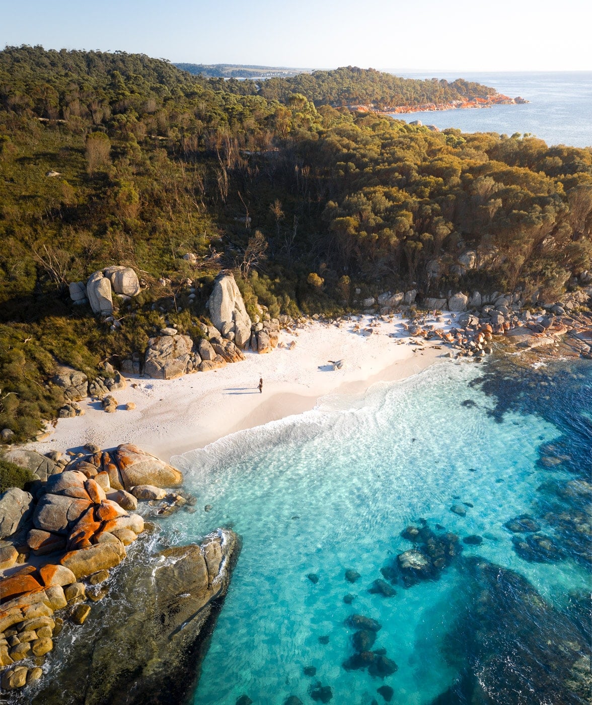 Bay of Fires Tasmania - Everything You Need to Know – We Seek Travel Blog