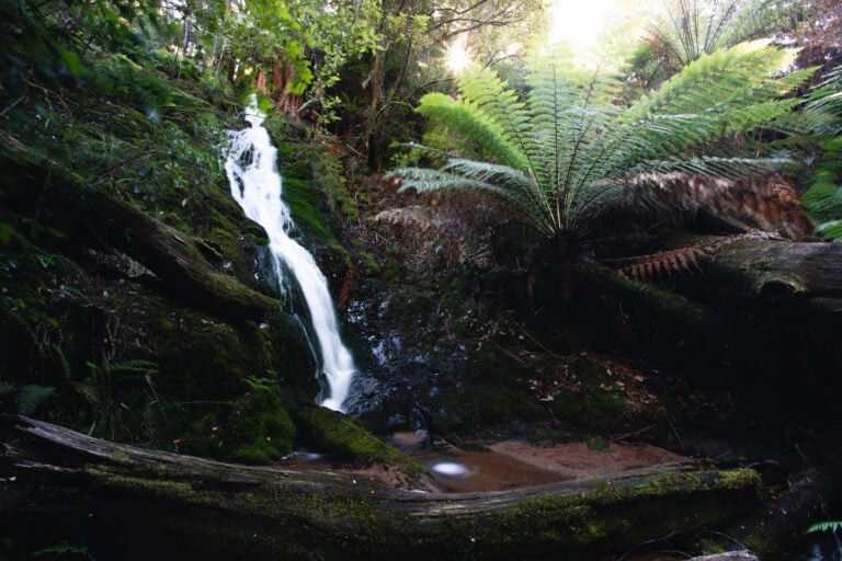 EVERCREECH FALLS TASMANIA