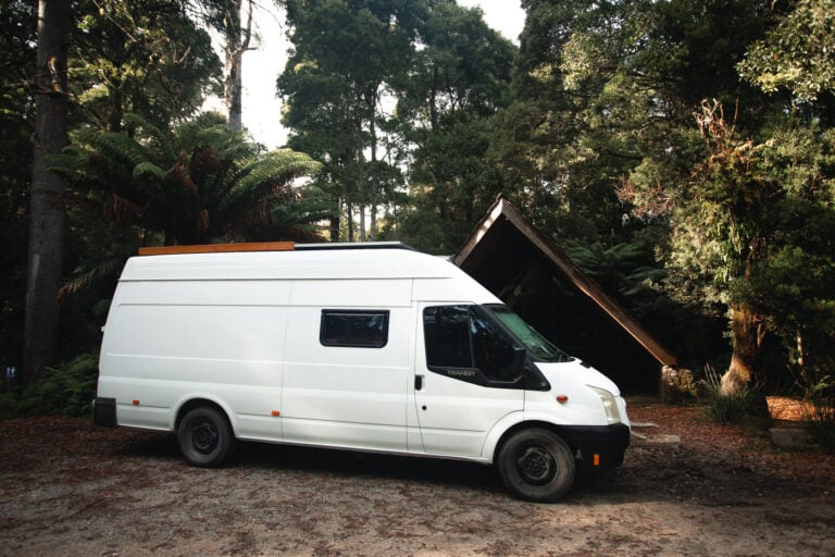 CAMPING AT EVERCREECH STATE FOREST
