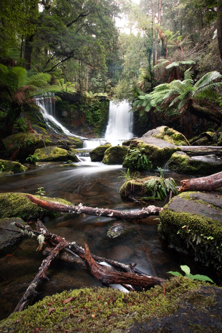 How to Visit Horseshoe Falls Tasmania Tips & Hiking Guide