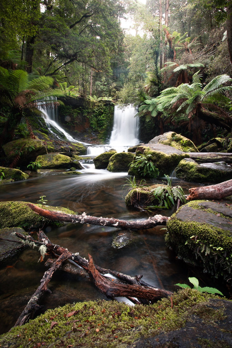 How to Visit Horseshoe Falls Tasmania Tips & Hiking Guide