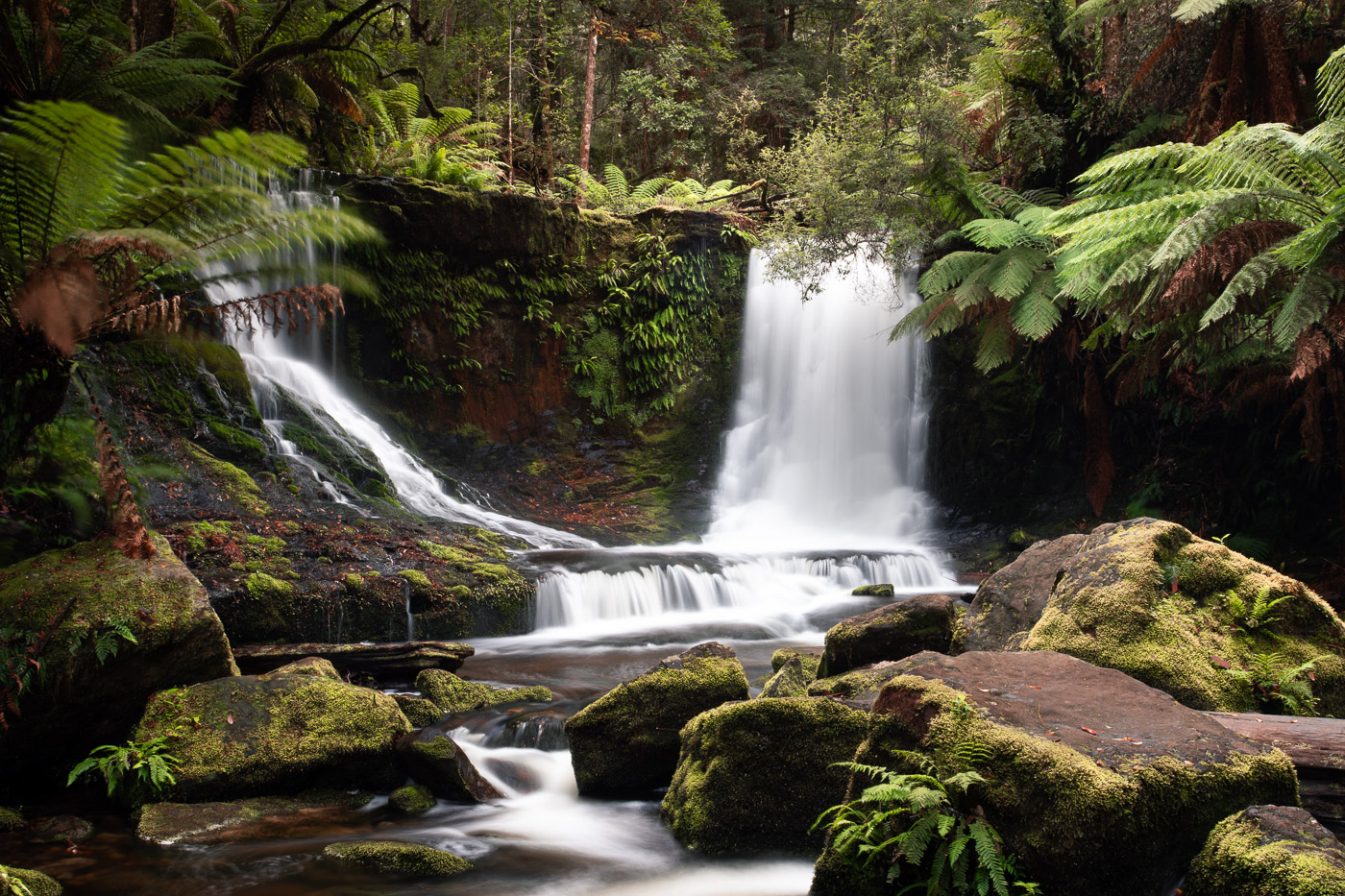 How to Visit Horseshoe Falls Tasmania Tips & Hiking Guide