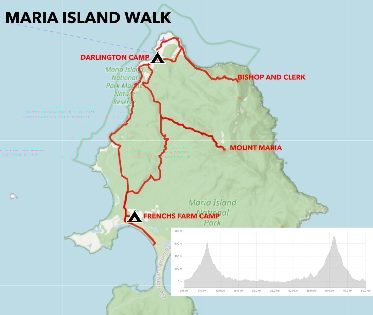 The Maria Island Walk SelfGuided Hike on the Complete Island Circuit