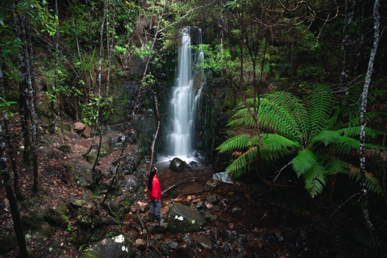 OGRADYS FALLS TRACK HOBART