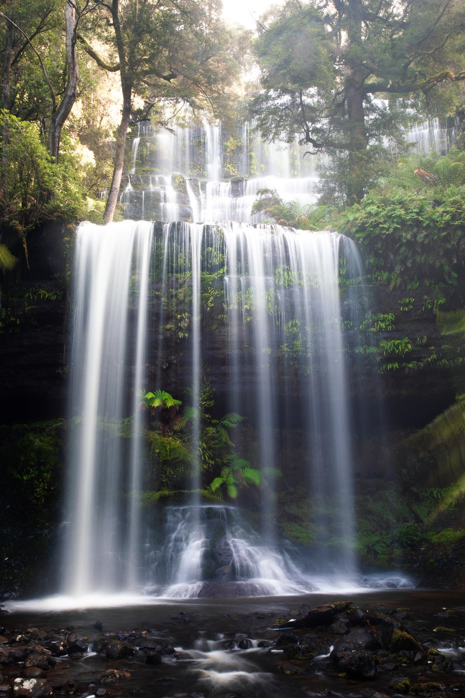 Three Falls Circuit & Tall Trees Walk im Mount Field National Park Tasmanien Eine Reise