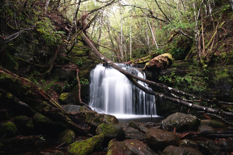 STRICKLAND FALLS HOBART